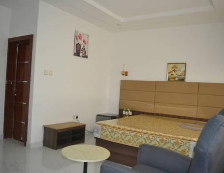 SHAPPHIRE STANDARD 101