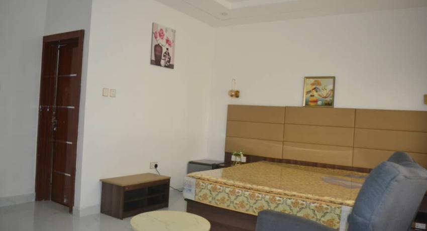 SHAPPHIRE STANDARD 101